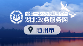 湖北政務服務網